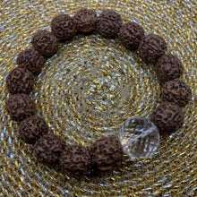 Load image into Gallery viewer, Power of the 17 Rudraksha Armbands
