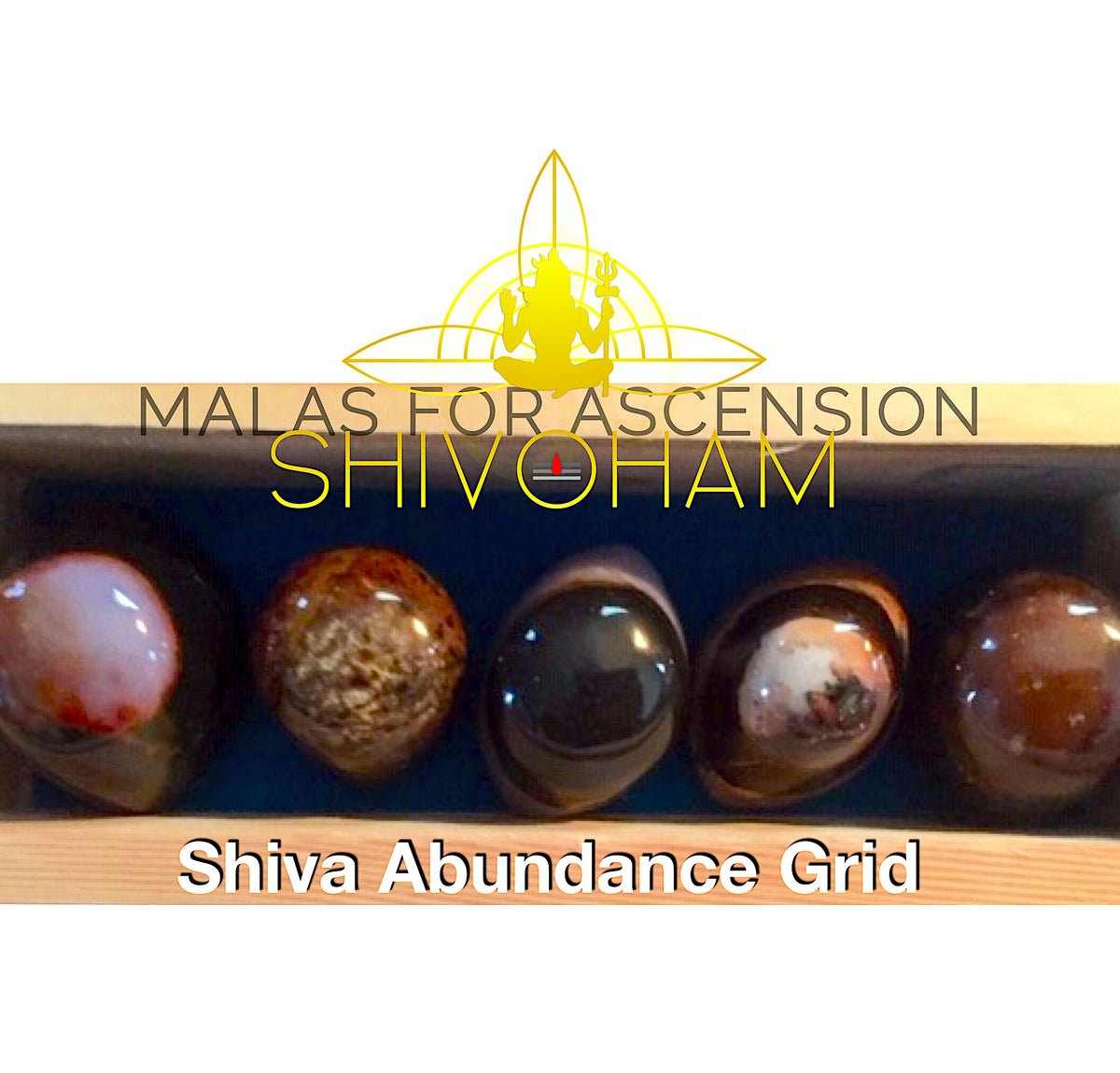 Load image into Gallery viewer, Shiva Abundance Grid
